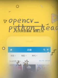 opencv_python_headless