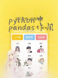 python中pandas作用