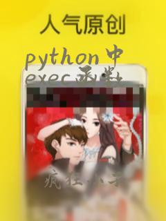 python中exec函数