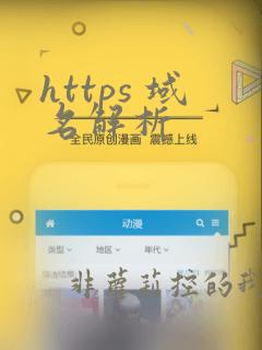 https 域名解析