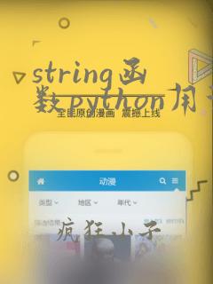string函数python用法