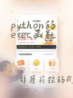 python的exec函数