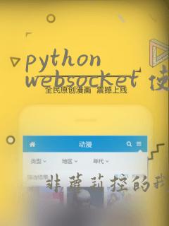 python websocket 使用
