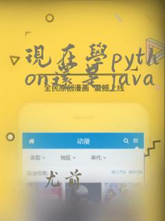 现在学python还是java