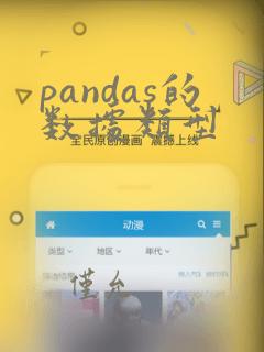 pandas的数据类型
