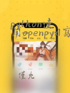 python使用openpyxl写入excel