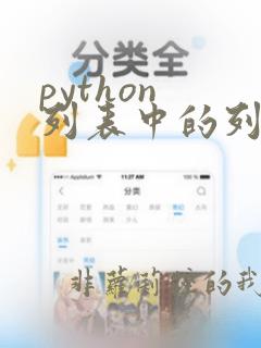 python 列表中的列表