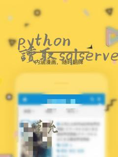 python 读取sqlserver