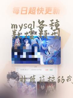mysql各种数据类型