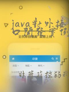 java对外接口开发实例