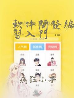 软件开发编程学习入门