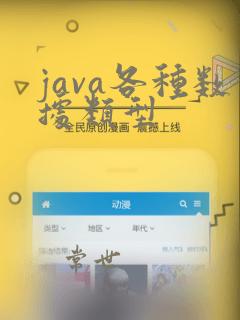 java各种数据类型