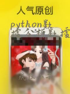 python数据分析数据