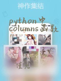 python中columns函数的用法