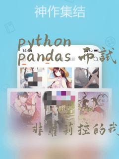 python pandas 面试题
