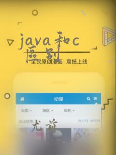 java和c 区别
