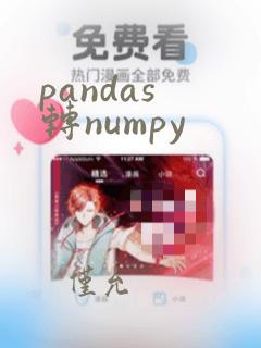 pandas 转numpy