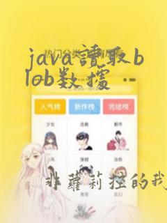 java读取blob数据