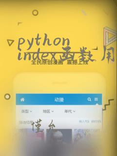 python index函数用法