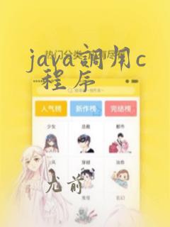 java调用c 程序