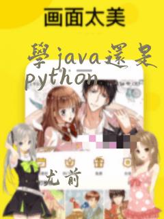 学java还是python