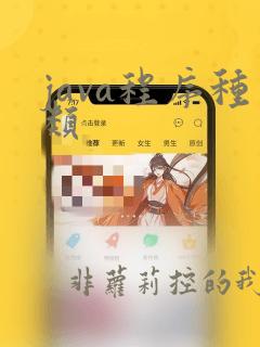 java程序种类