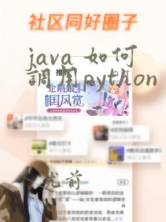 java 如何调用python