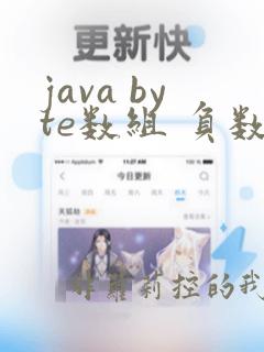 java byte数组 负数