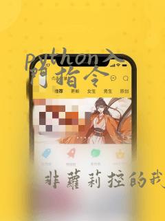 python入门指令