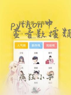 python中查看数据类型