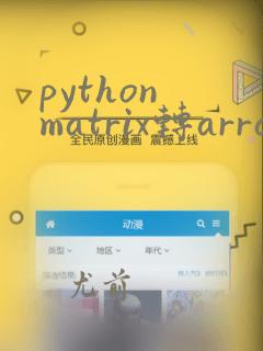 python matrix转array