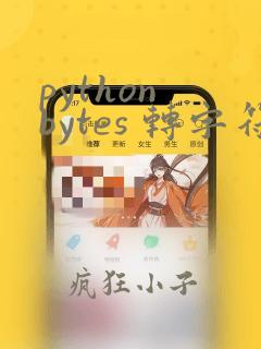 python bytes 转字符串