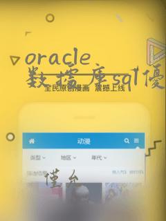 oracle 数据库sql优化