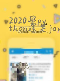 2020学python还是java