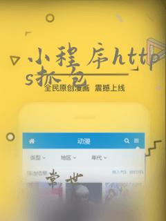 小程序https抓包