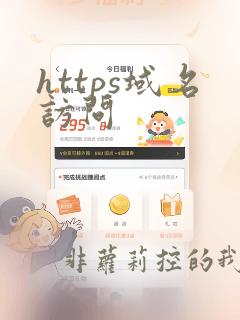 https域名访问