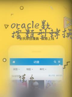 oracle数据类型转换