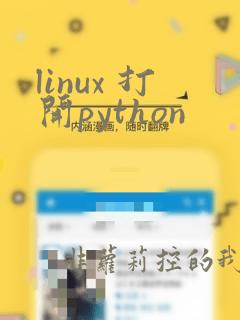 linux 打开python