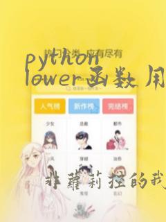 python lower函数用法