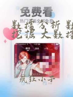 数据分析 数据挖掘 大数据