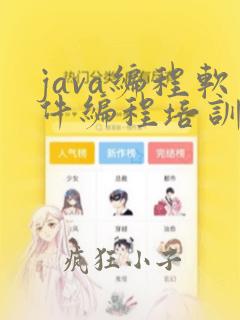 java编程软件编程培训班