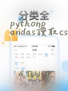 pythonpandas读取csv文件