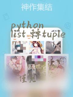 python list 转tuple