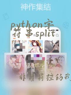 python字符串split
