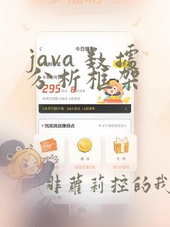 java 数据分析框架