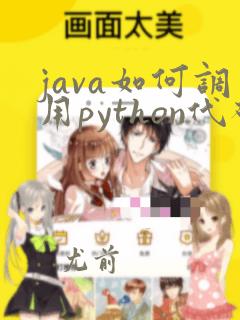 java如何调用python代码