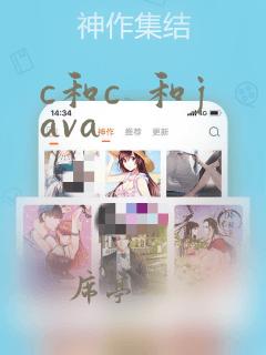 c和c  和java