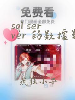sql server 的数据类型