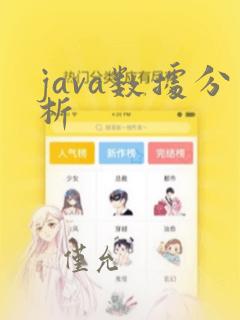java数据分析