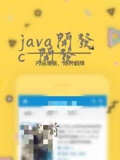 java开发 c 开发